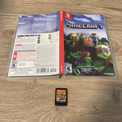 Minecraft Nintendo Switch