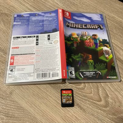 Minecraft Nintendo Switch