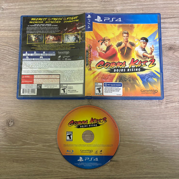 Cobra Kai 2: Dojos Rising Playstation 4