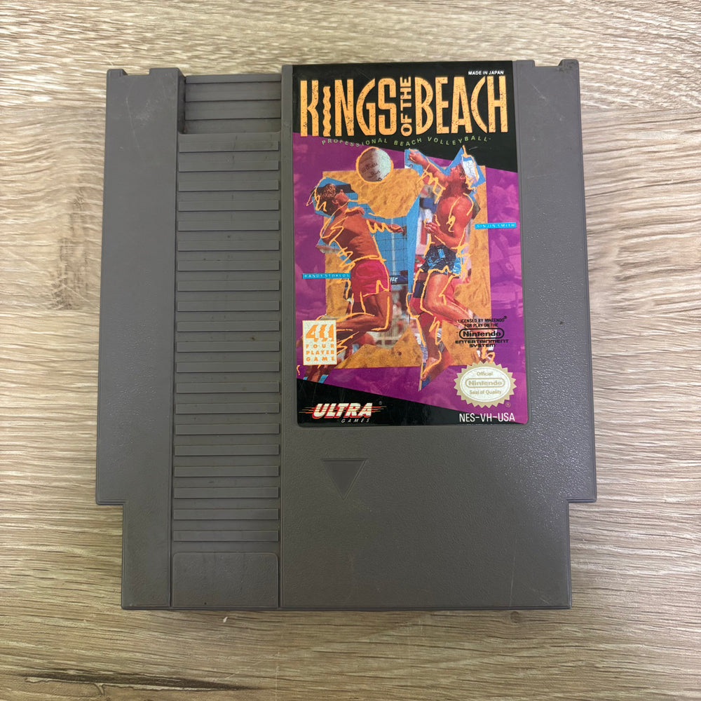Kings of the Beach NES