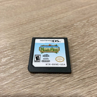 Noah's Ark Nintendo DS